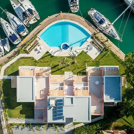 Tramontana Portorosa - Delfino *